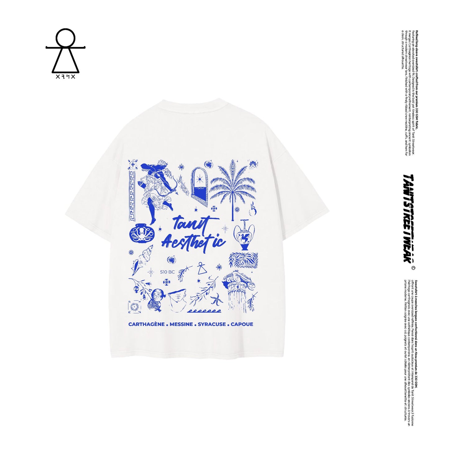 Aesthetic Tanit - Cropped Oversized Tee